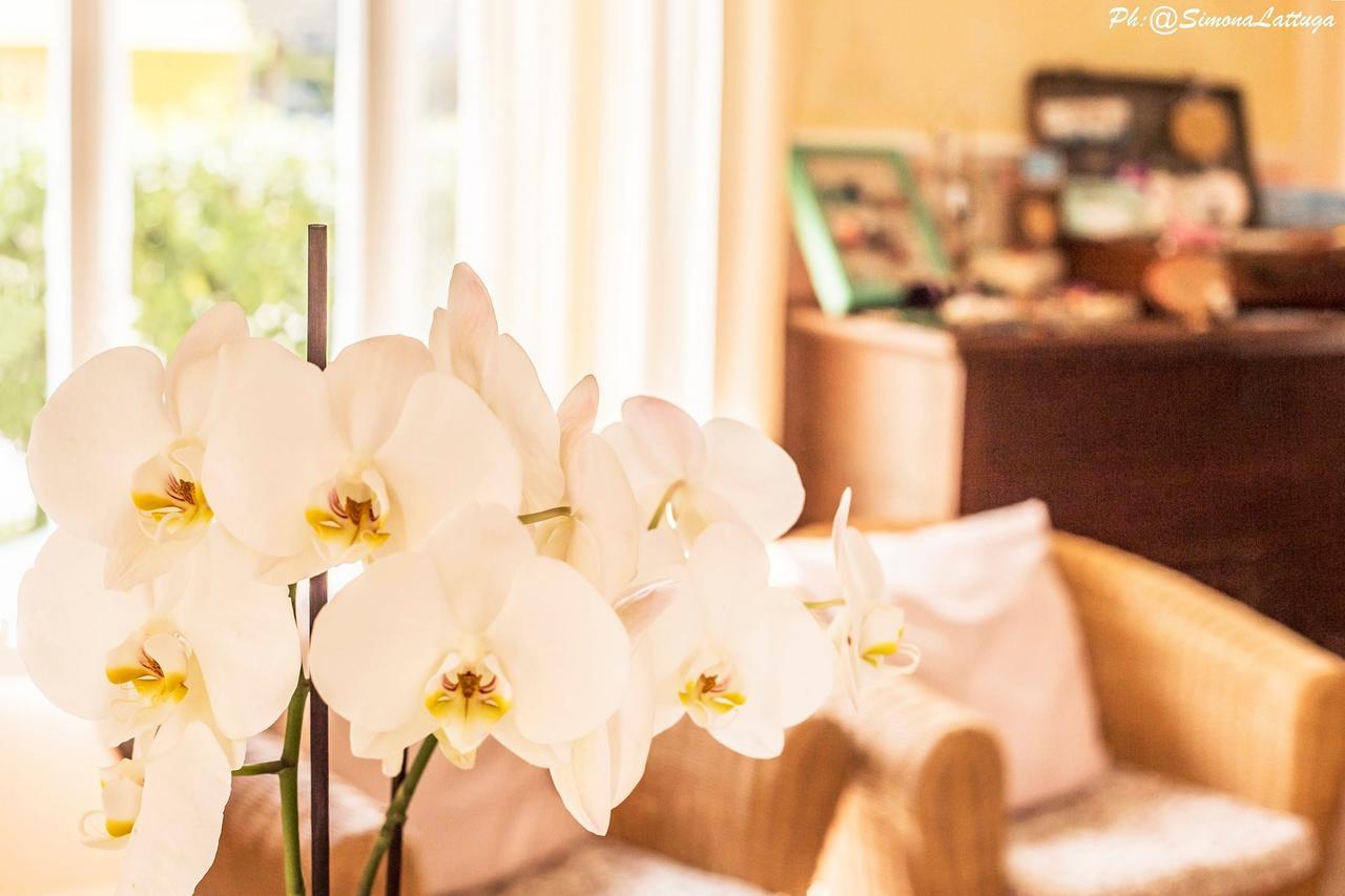 Hotel Ninfea Cervia Buitenkant foto